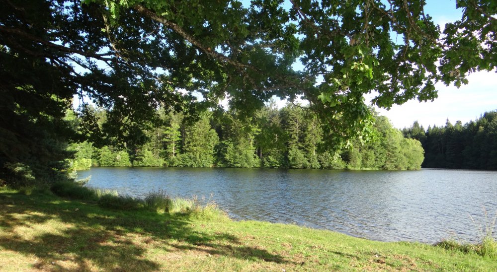 image diaporama