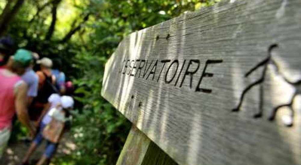 image diaporama