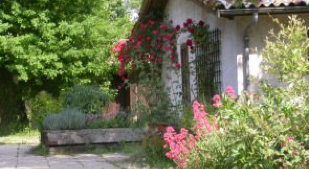 image diaporama
