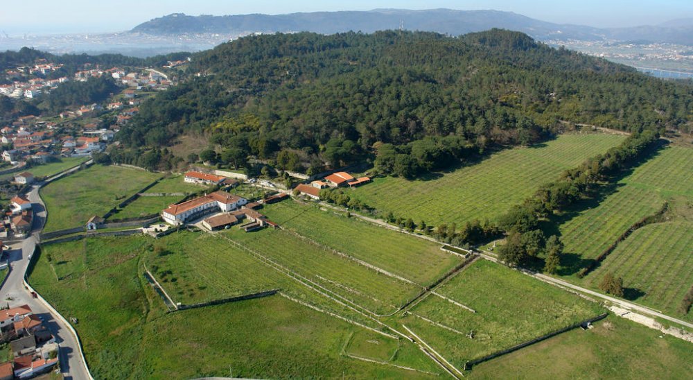 imagen del diaporama