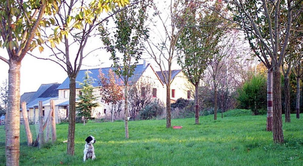 image diaporama