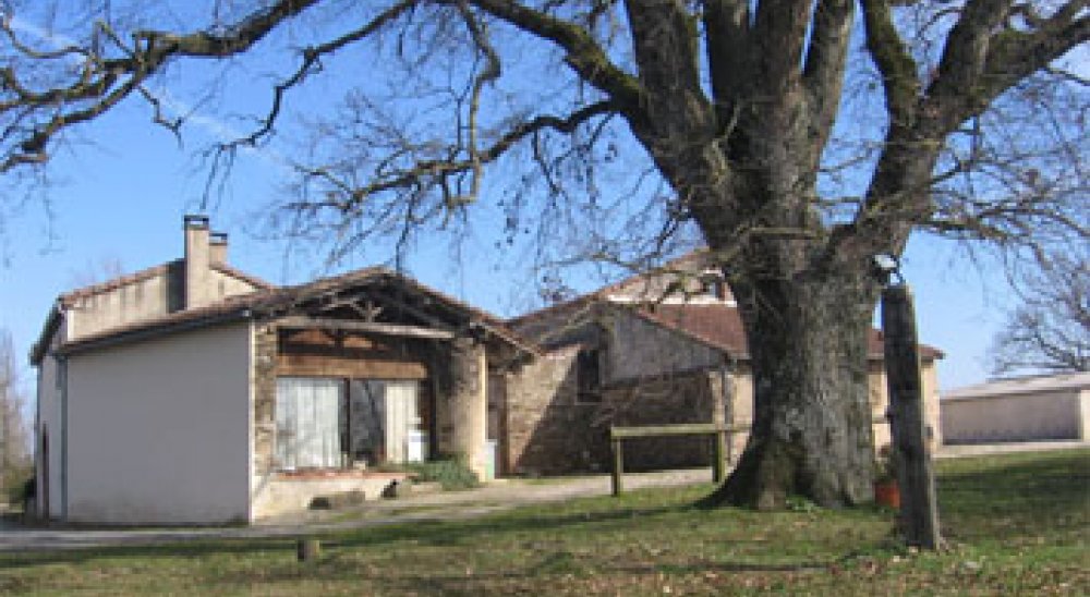 image diaporama