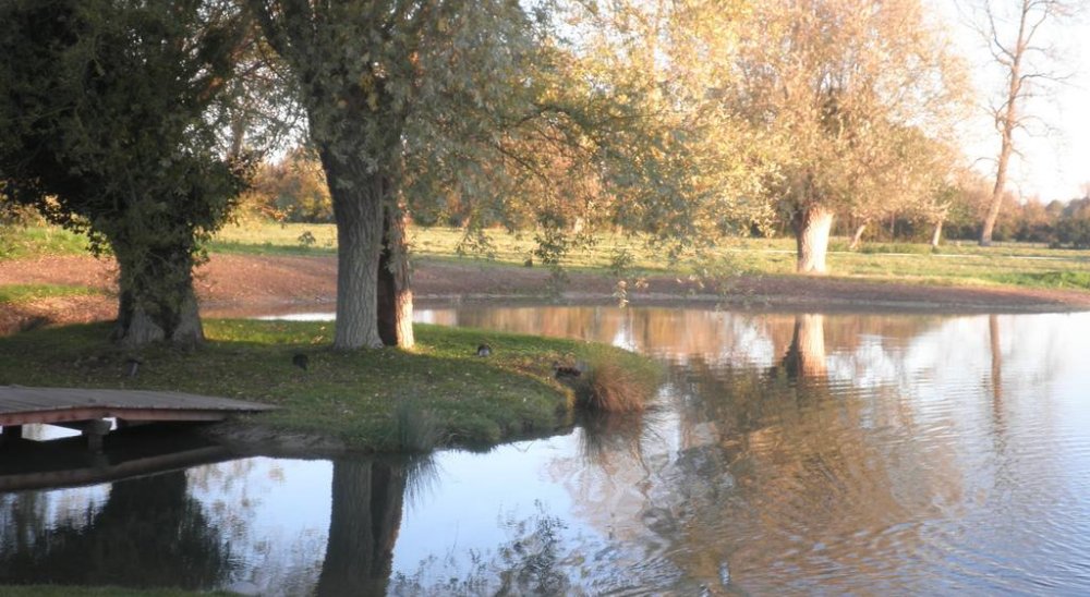 Group Booking : Hôtel Les Saules, Favières