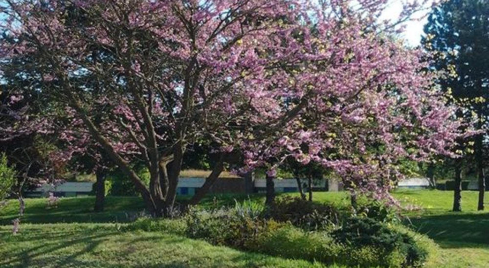 image diaporama