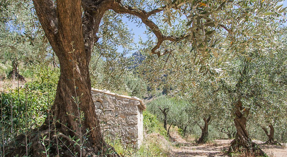 Group Booking Village Vacances Fontaine Annibal, BuislesBaronnies